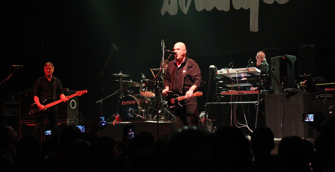 The Stranglers live