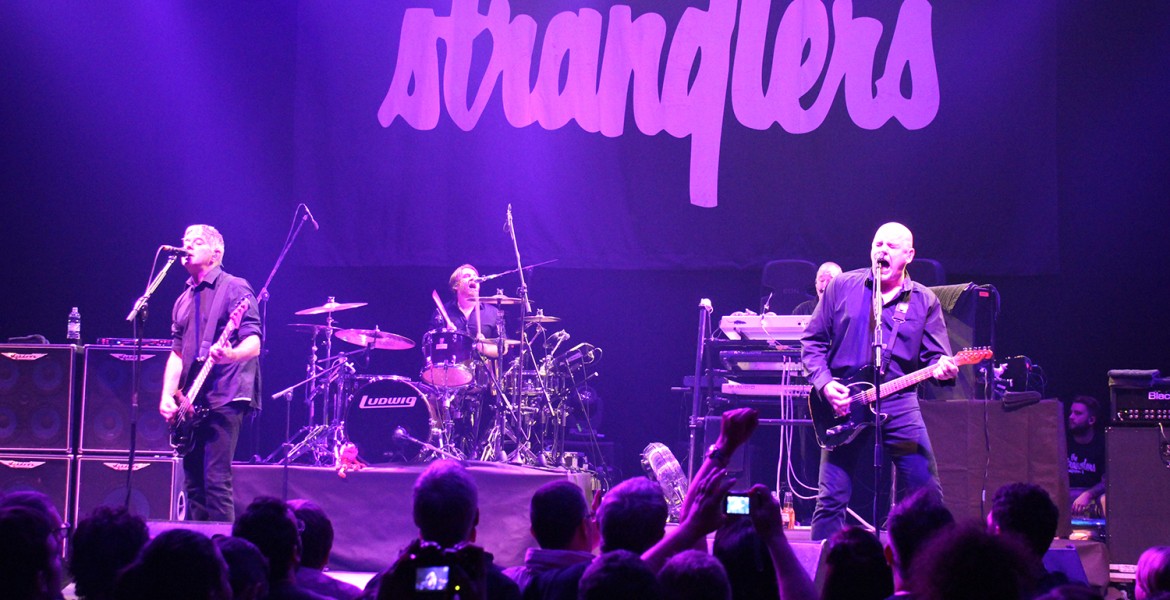 The Stranglers live