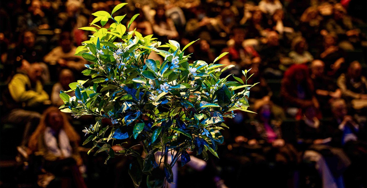 Ο Ηλίθιος του Ντοστογιέφσκι