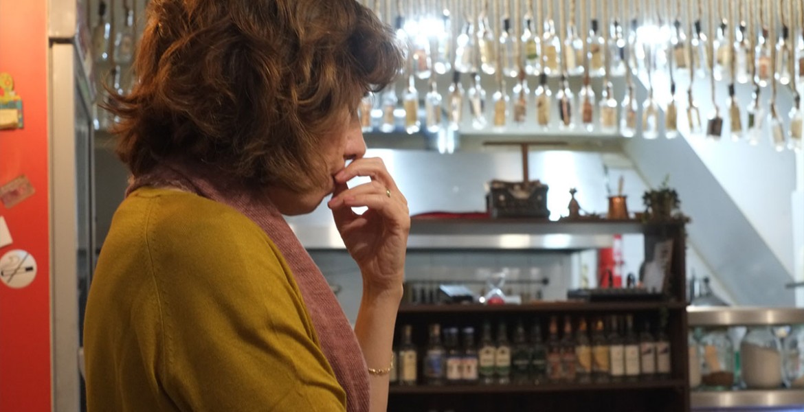 Η σκιά της μύγας