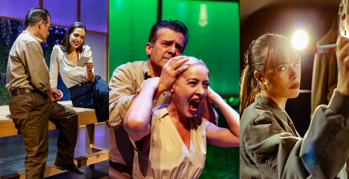 Αλιγάτορες | Παράταση παραστάσεων