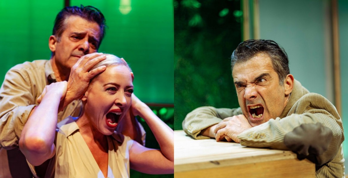 Αλιγάτορες