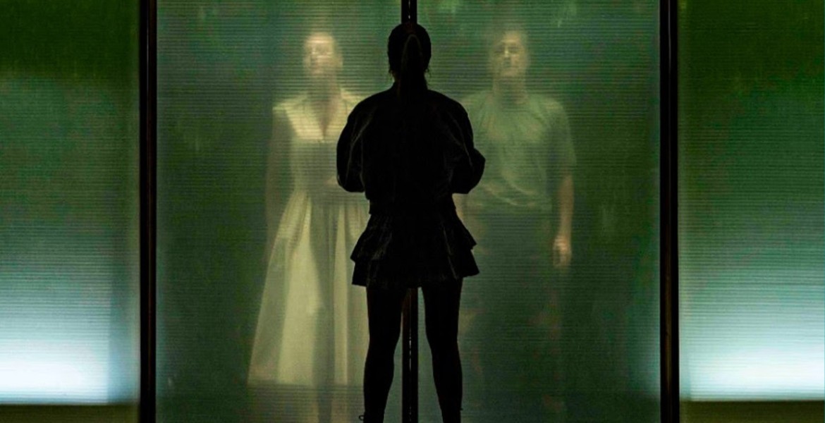 Αλιγάτορες