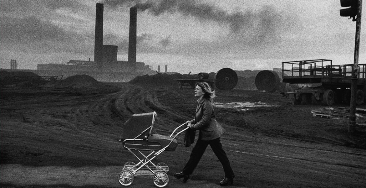 Life, Death and Everything in Between