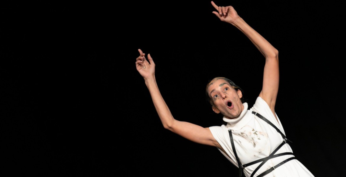 Ισμήνη της Καρόλ Φρεσέτ - Κριτική