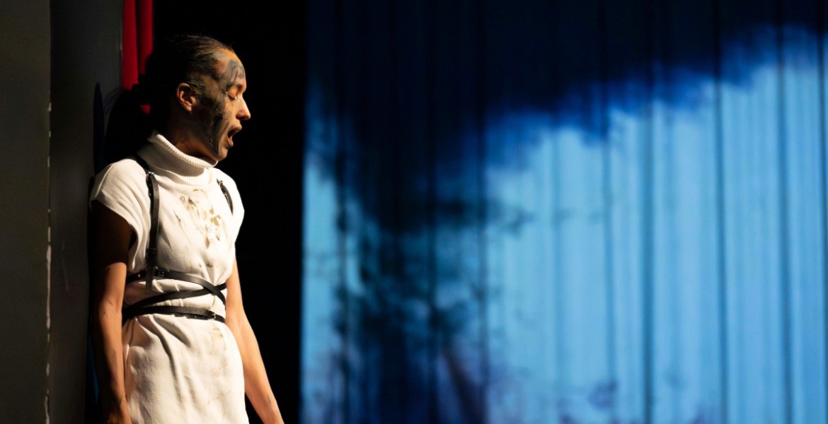 Ισμήνη της Καρόλ Φρεσέτ - Κριτική