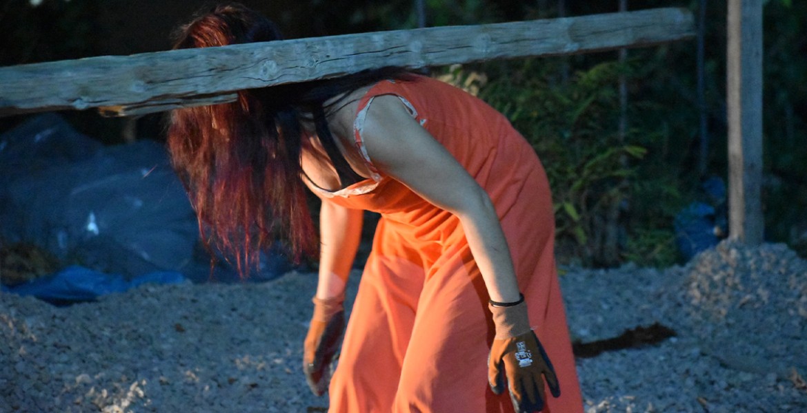 Η αλεπού θα ξανάρθει 