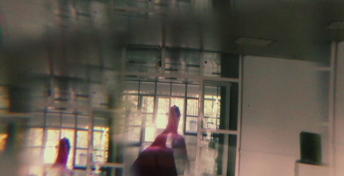 Η αλεπού θα ξανάρθει 