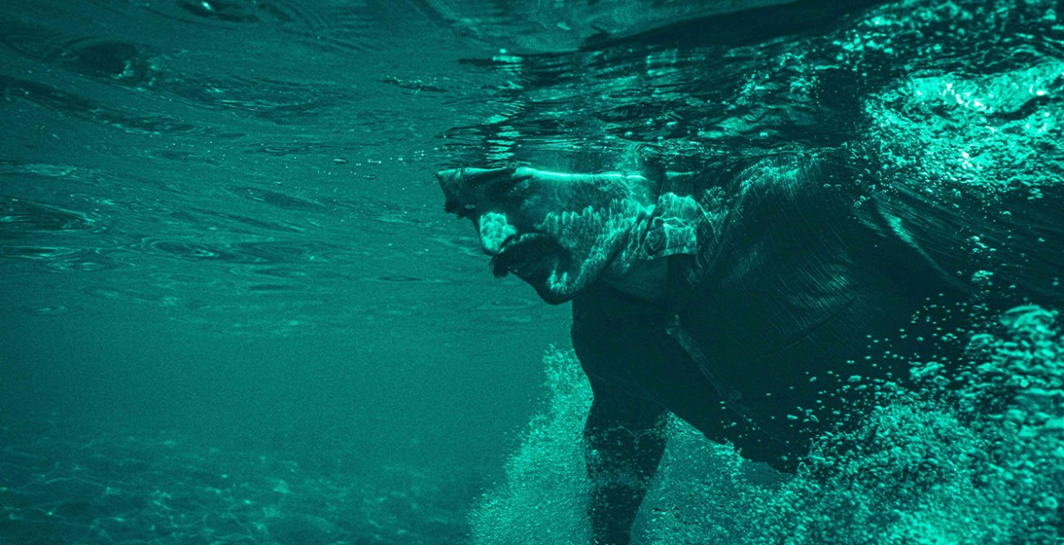 Η Φώκια του Μάνου Θηραίου